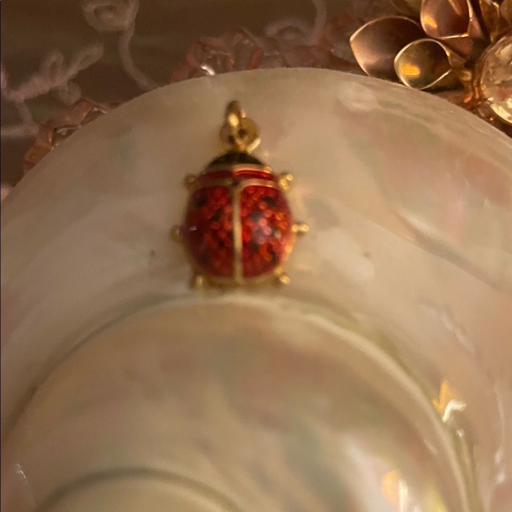 Vintage 14 k Gold and Red enamel Ladybug Pendant. New